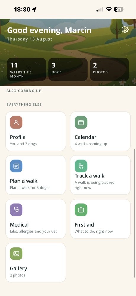 Home screen scrolled to the main menu of app sections