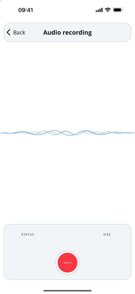 Recorder, audio library