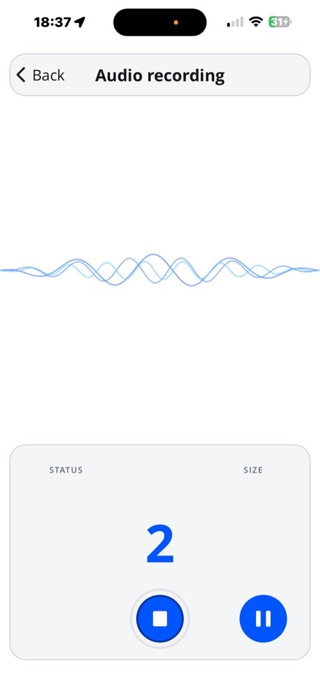 Audio recording screen starting up